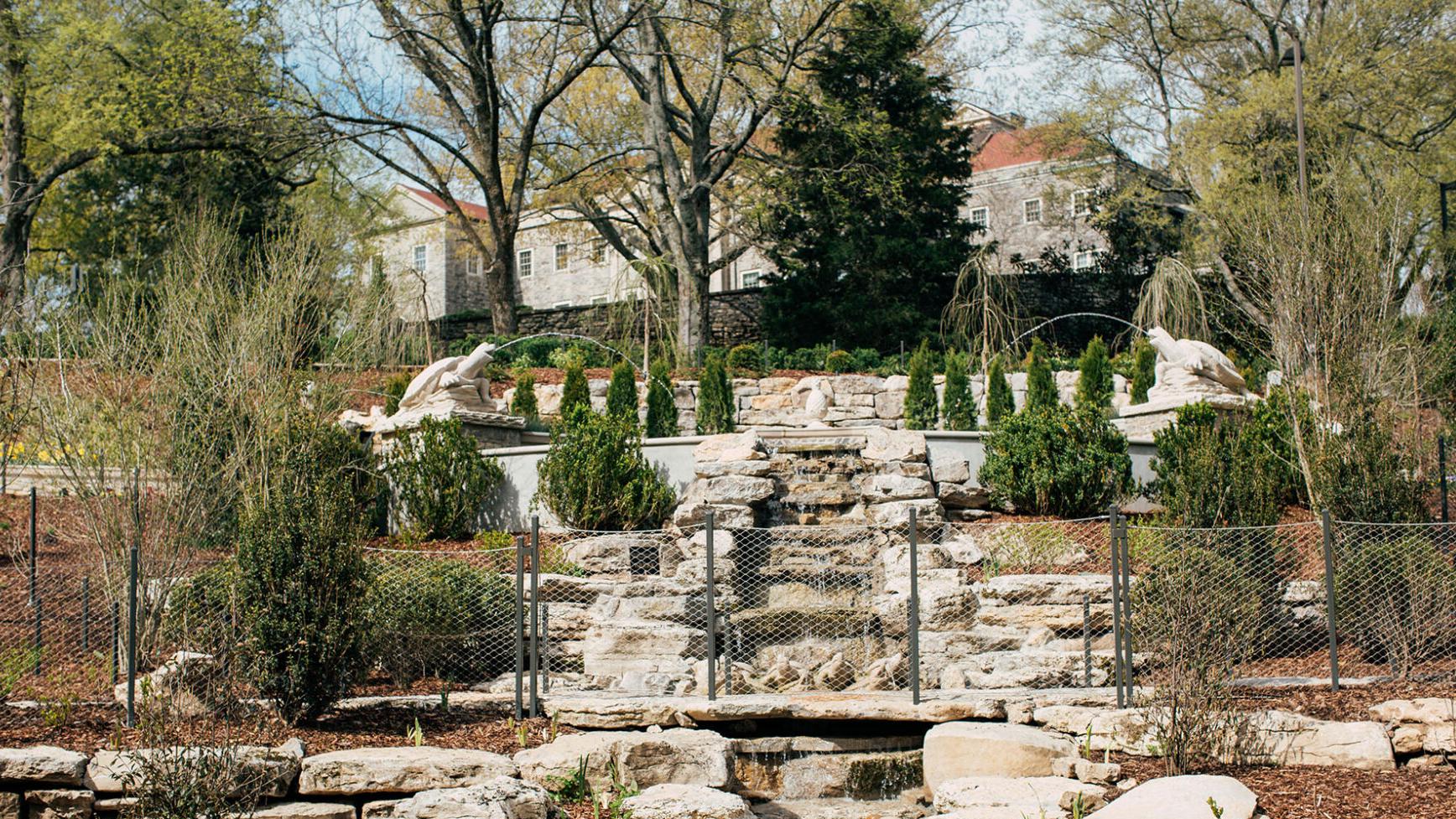 Swan Ball Organizers File Lawsuit Against Cheekwood